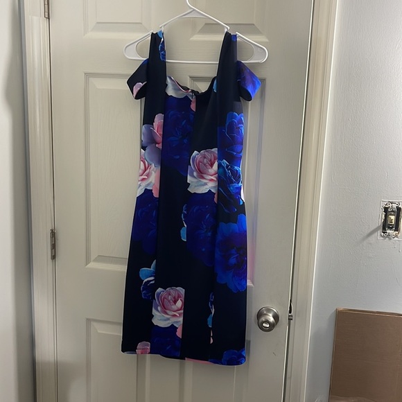 Enfocus Studio Floral Women's paneled dress, Size 8 - Picture 6 of 7